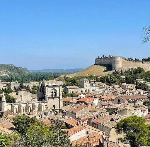 Unique In Famous Provence Historic Village * Villeneuve-les-Avignon